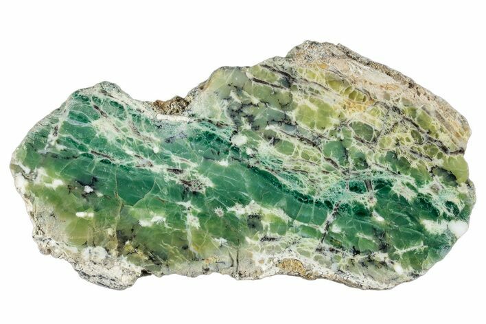 Polished Green-White Opal Slab - Western Australia #279732